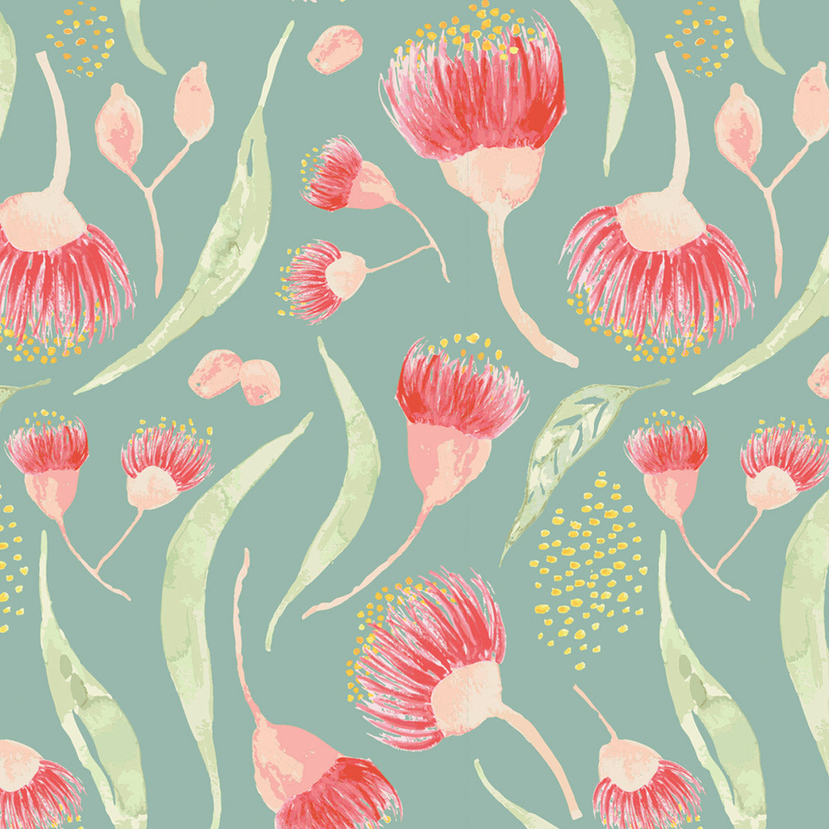Bush Gum Blossoms Green