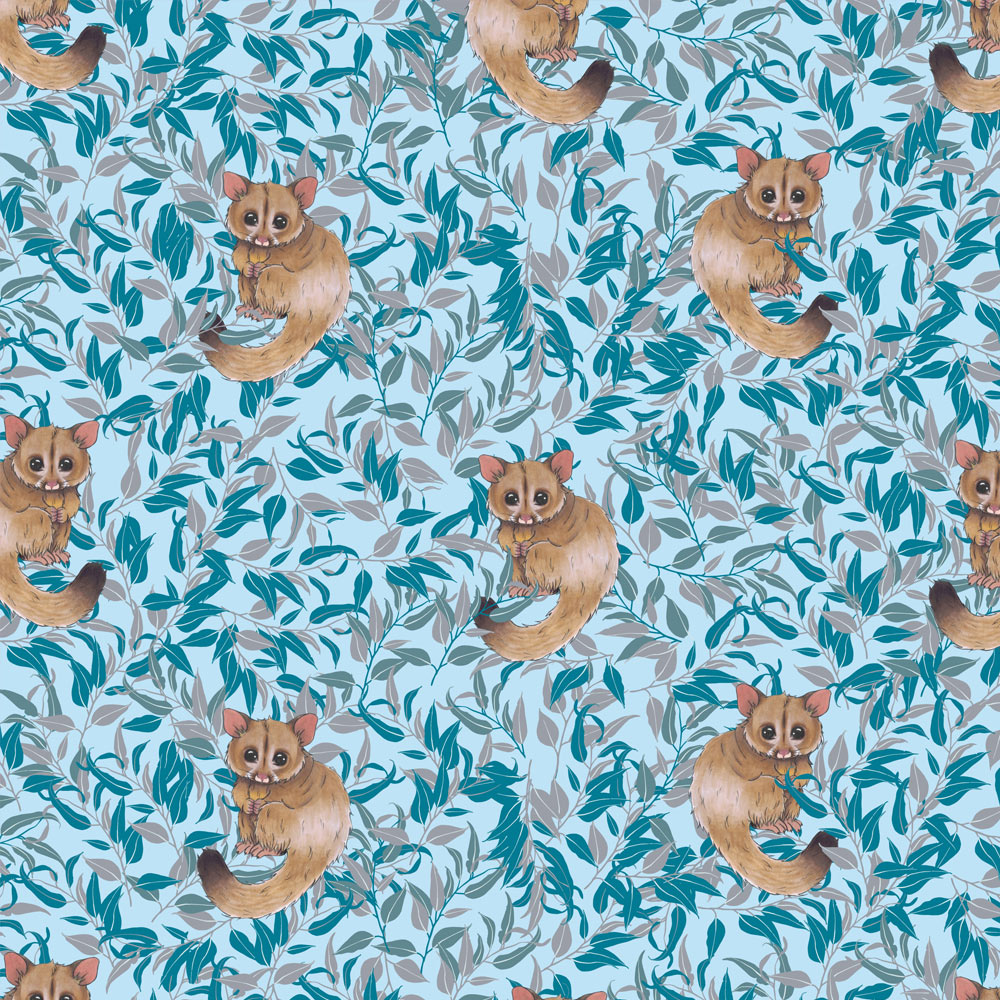 Possum Magic Blue
