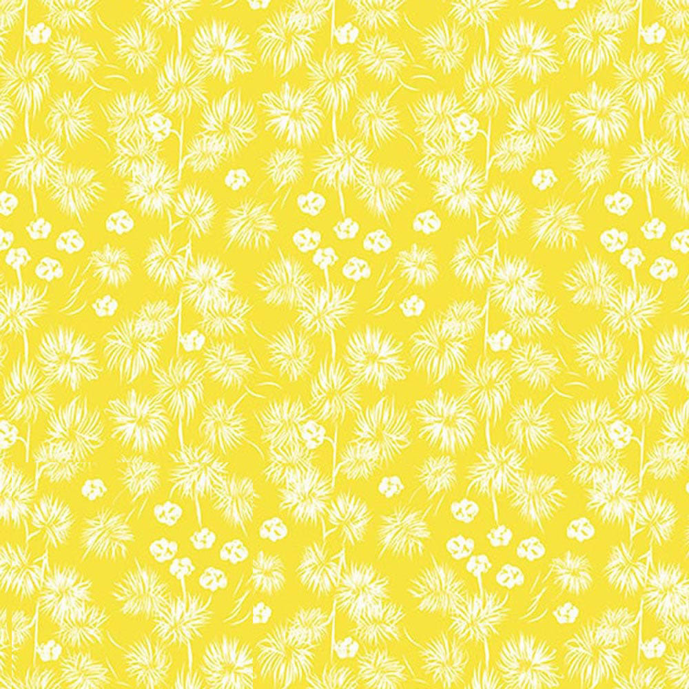 Little Wattle Yellow