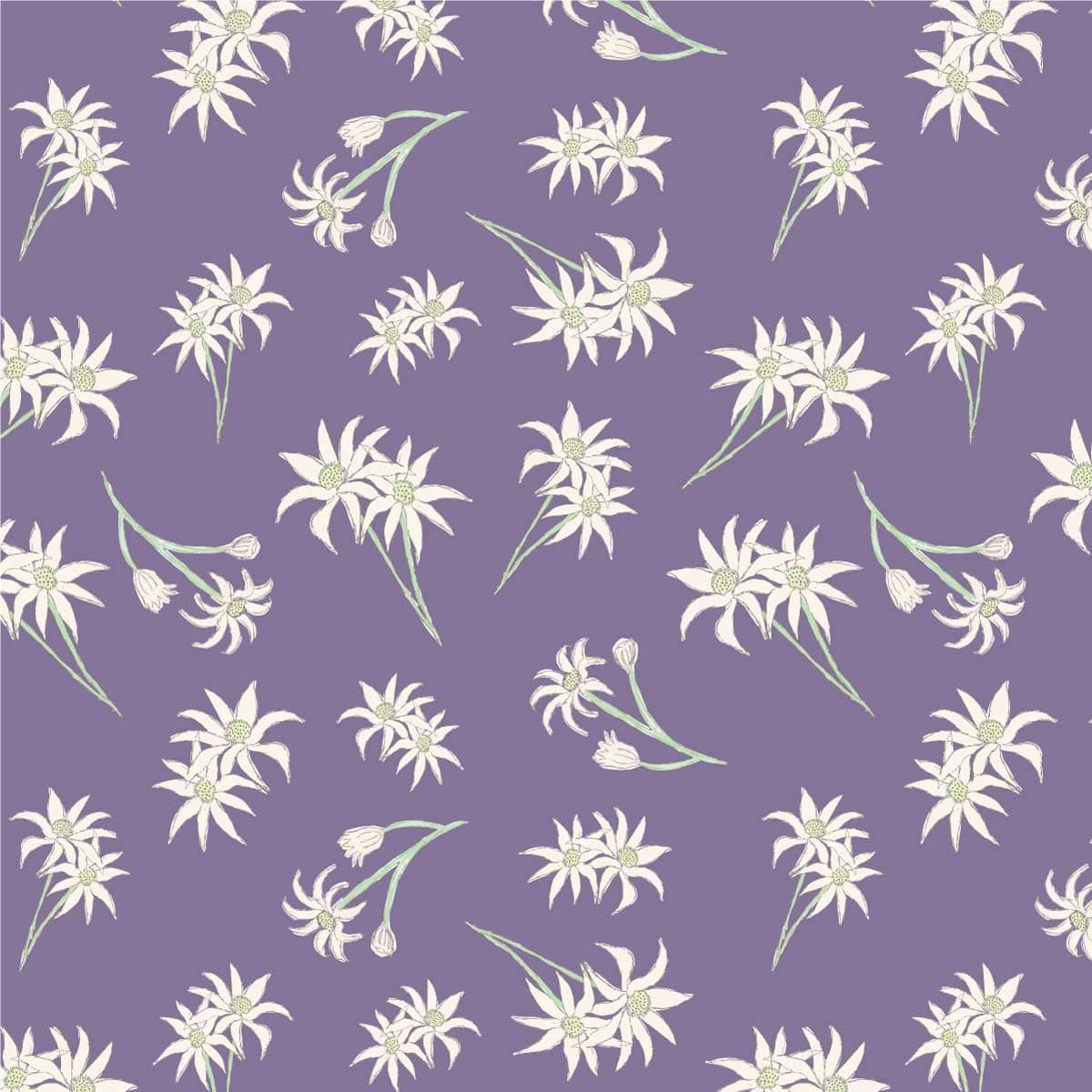 Amanda Joy Fabrics Fabric 1 Metre / Premium woven cotton sateen 150gsm Flannel flowers Lavender Fabric
