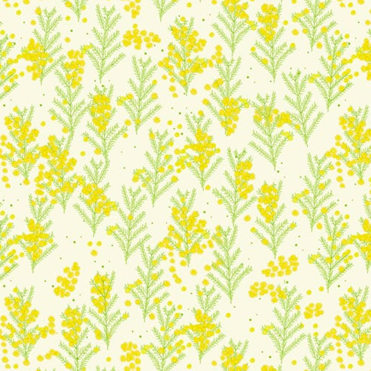 Amanda Joy Fabrics Fabric 1 Metre / Premium woven cotton sateen 150gsm Wattle Fabric on cream