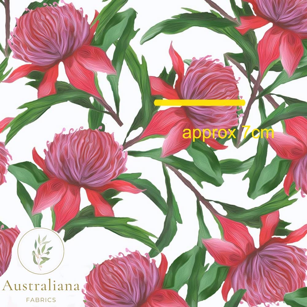Amanda Joy Fabrics Fabric Premium Quality Woven Cotton sateen 150gsm / 1 Metre Waratah on White