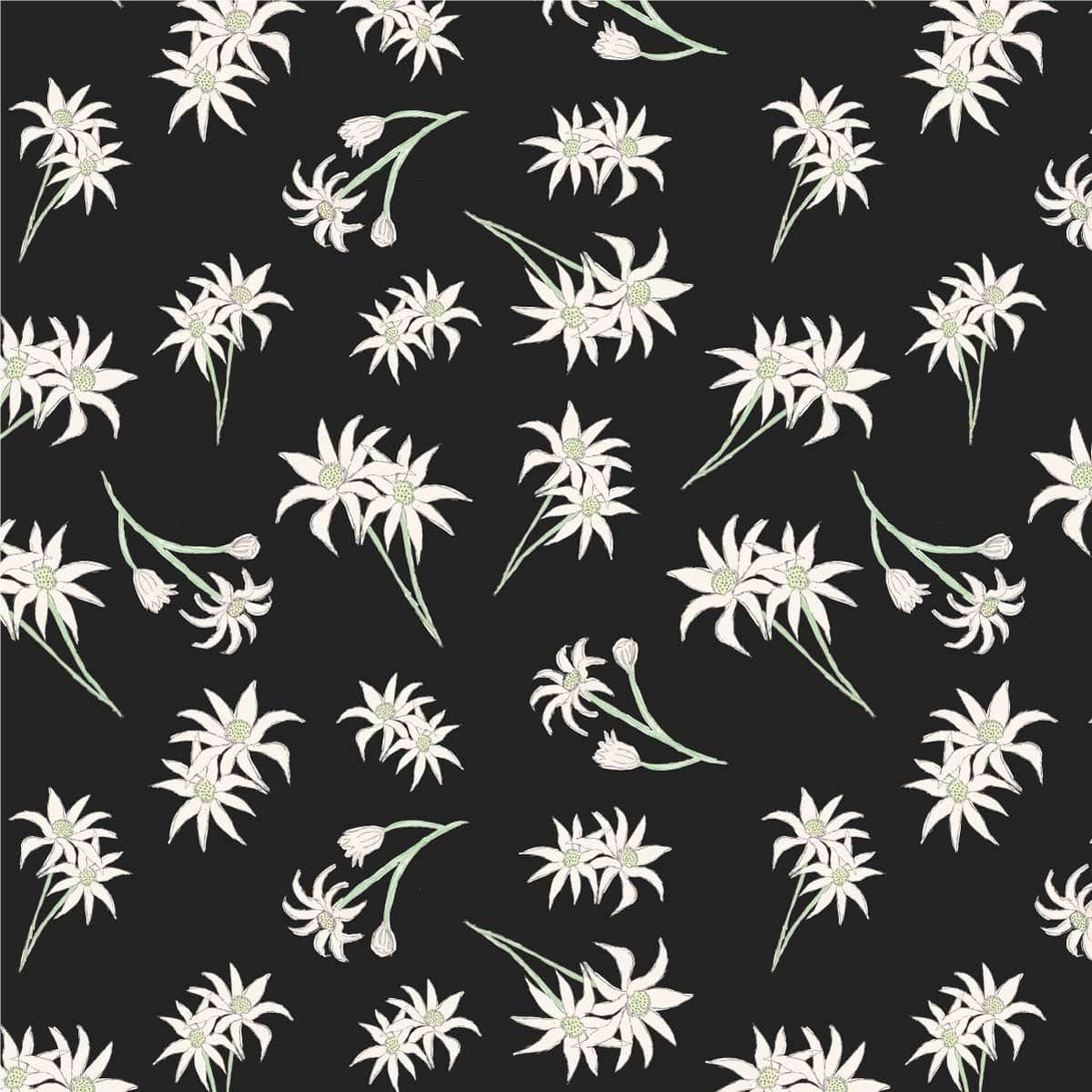 Amanda Joy Fabrics Fabric Premium Woven Cotton sateen 150gsm / 1 Metre Flannel Flowers on Black