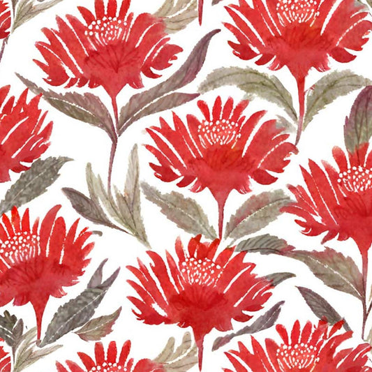 Watercolour Waratahs Red