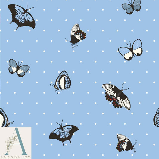 Australian Butterfly Blue Skies