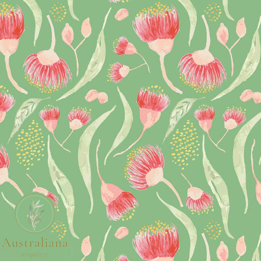 Bush Gum Blossoms Green