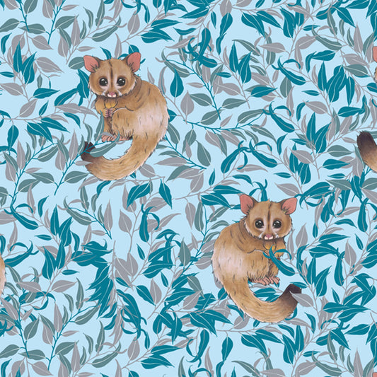 Possum Magic Blue