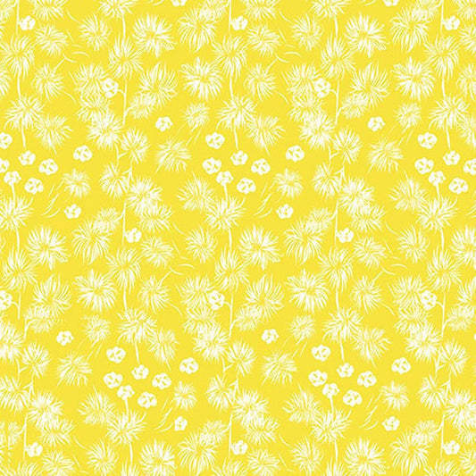 Little Wattle Yellow