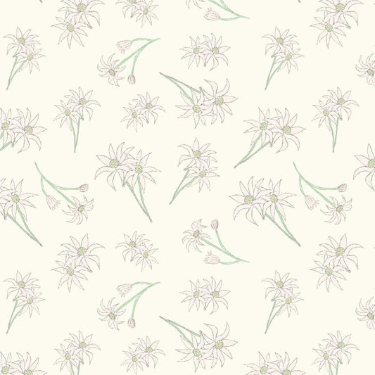 Amanda Joy Fabrics Fabric 1 Metre / Premium woven cotton sateen 150gsm Flannel flowers Cream Fabric