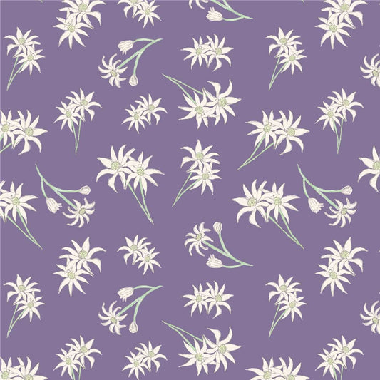 Amanda Joy Fabrics Fabric 1 Metre / Premium woven cotton sateen 150gsm Flannel flowers Lavender Fabric
