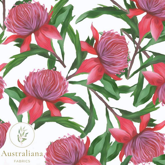 Amanda Joy Fabrics Fabric Premium Quality Woven Cotton sateen 150gsm / 1 Metre Waratah on White