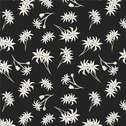 Amanda Joy Fabrics Fabric Premium Woven Cotton sateen 150gsm / 1 Metre Flannel Flowers on Black