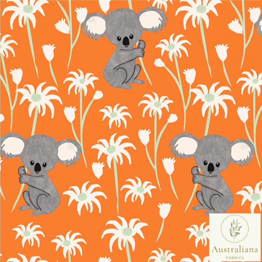 Sweet Koala on Orange